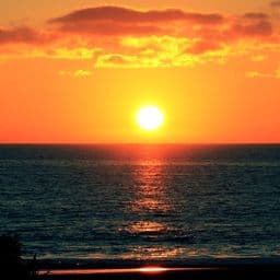 Sunsea - Enduser Testing